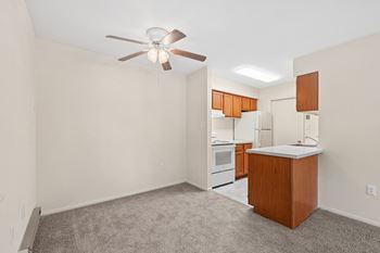 Modern ceiling fans
